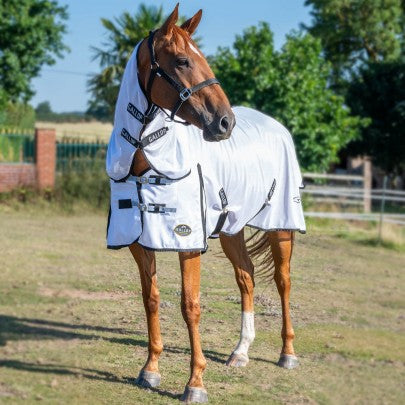 GALLOP Essentials Classic Combo Rug