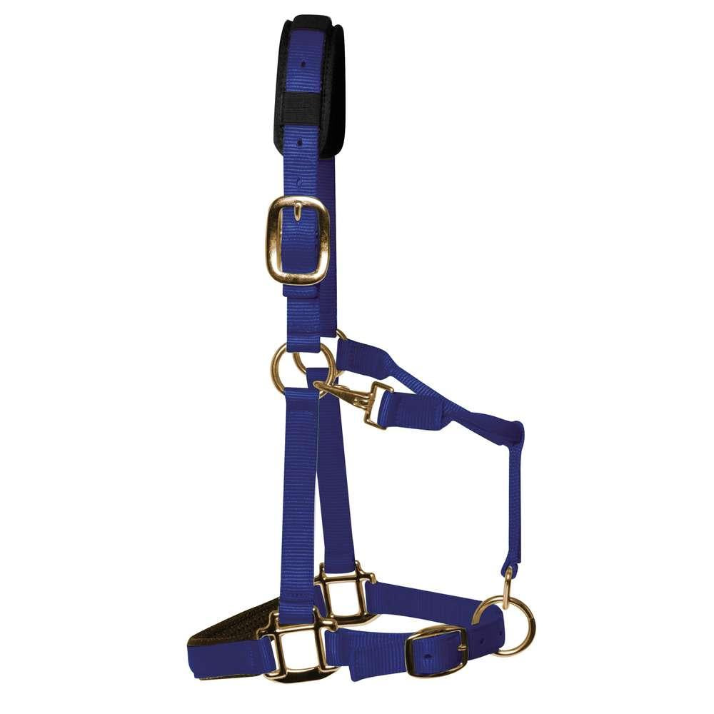 Km elite headcoller padded - Royal Blue