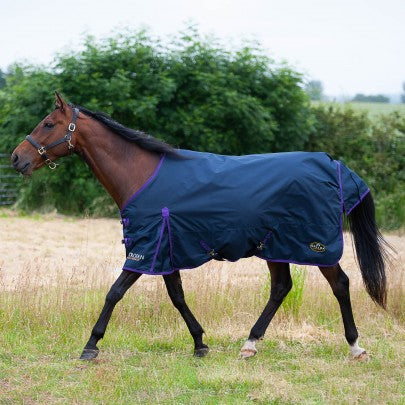 Gallop TROJAN Lightweight Turnout Rug