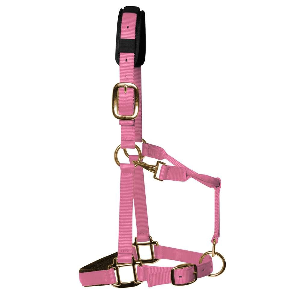 Km Elite padded Headcollar - light pink