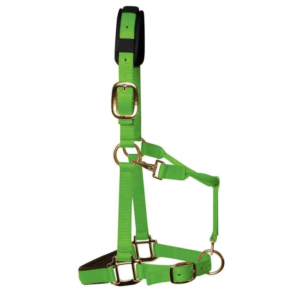 Km elite Padded Headcollar - Hot Green