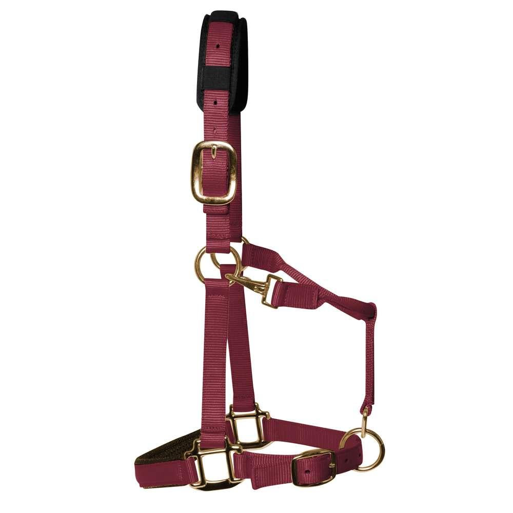 Km Elite padded Headcollar - Burgendy