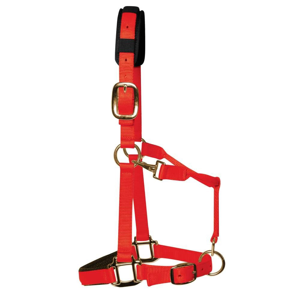 Km elite padded Headcollar - Red