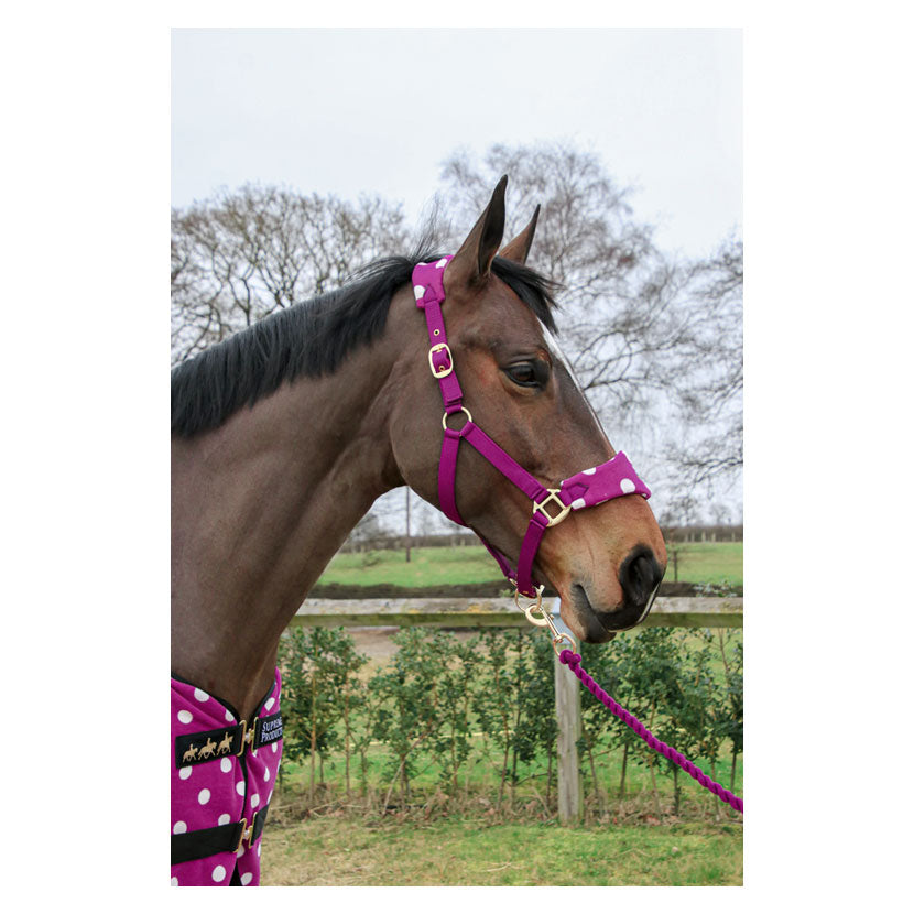 Supreme Products Dotty Fleece Headcollar