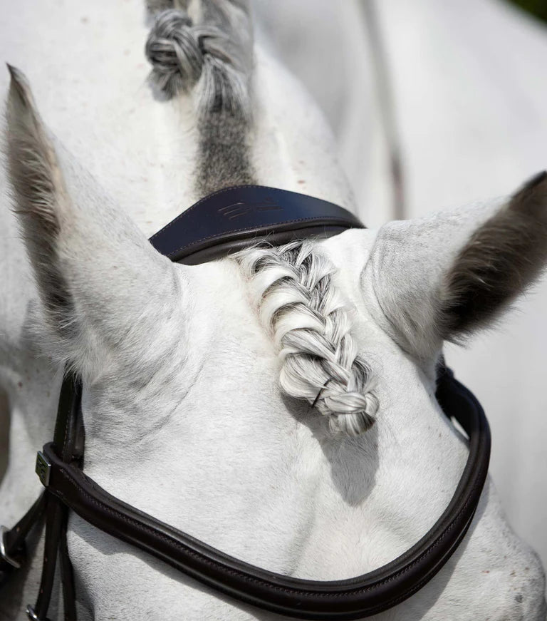 Premier Equine Anatomic Snaffle Bridle with Flash Rizzo