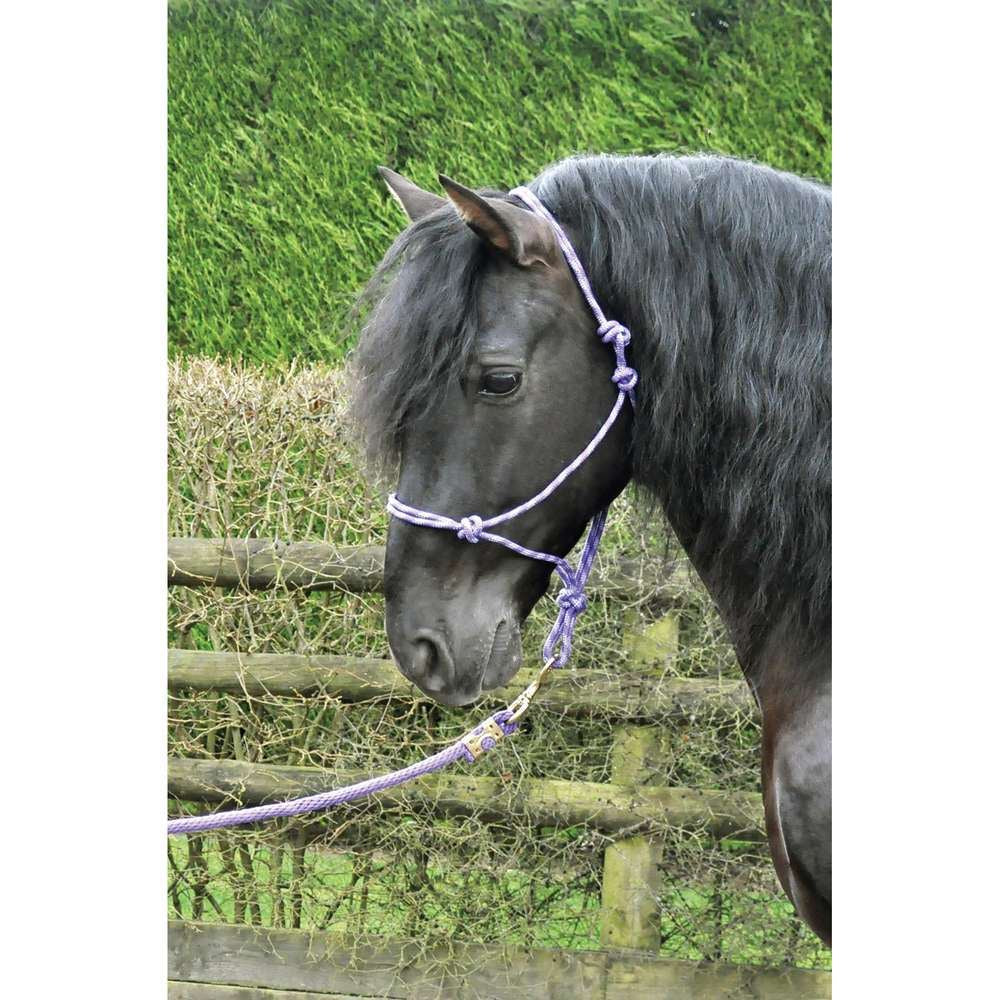 Km Elite Rope Halter lilac/purple