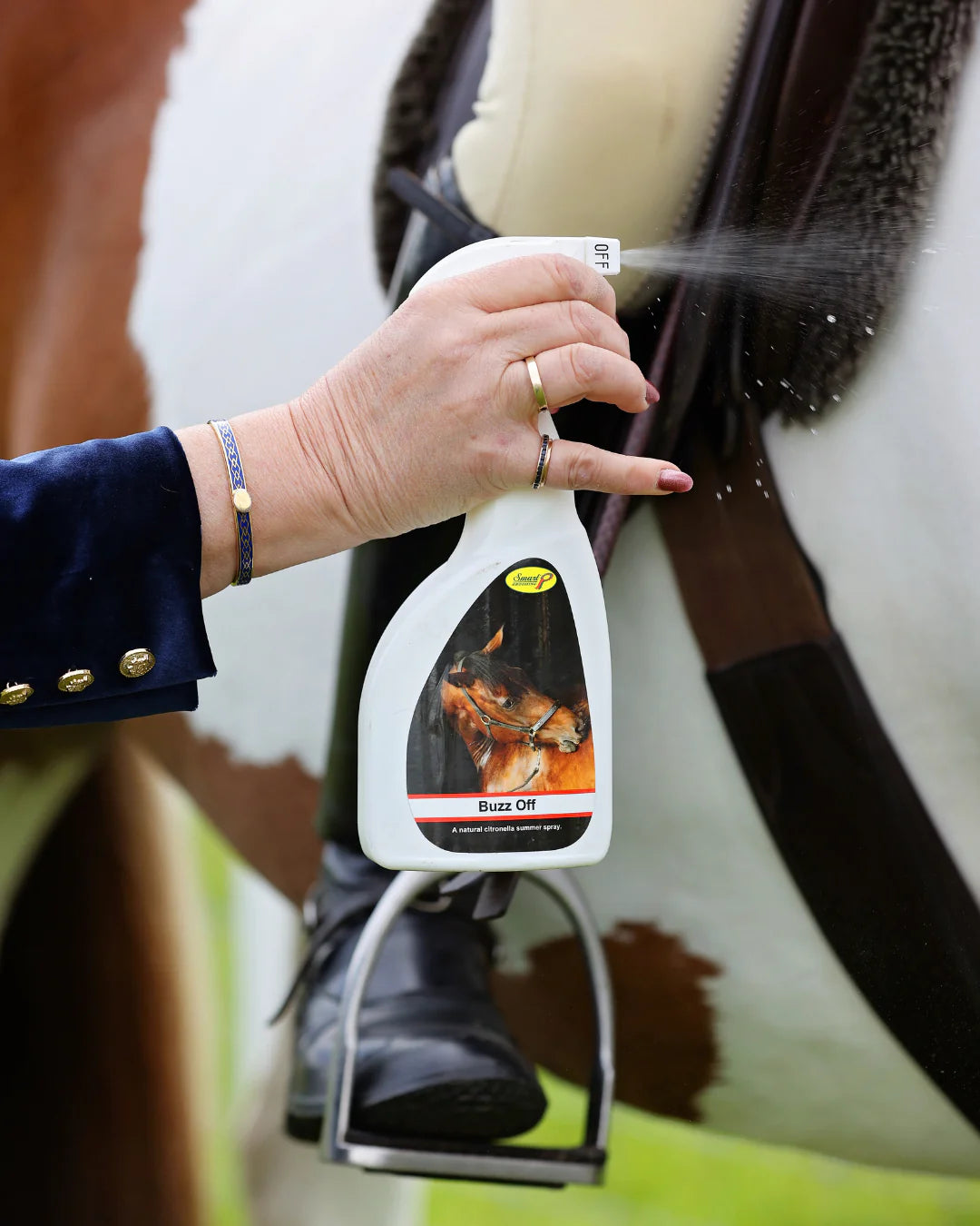 BUZZ OFF SUMMER SPRAY