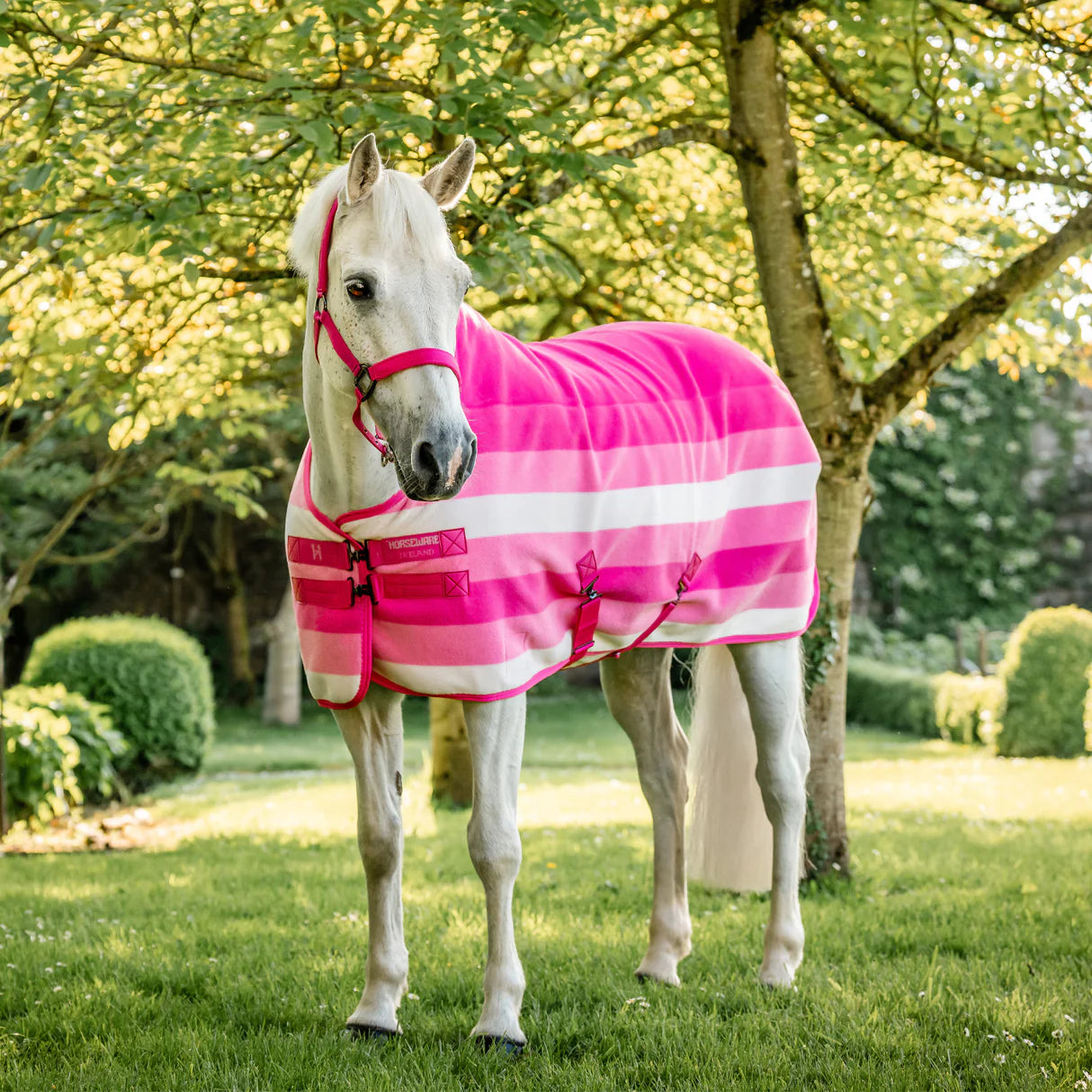 NEW Horseware® Newmarket Fleece Cooler “Pink”
