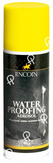 Lincoln Rug Waterproof Aerosol