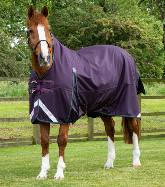 Buster Hardy 100g Half Neck Turnout Rug Purple