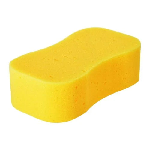 Large Sponge