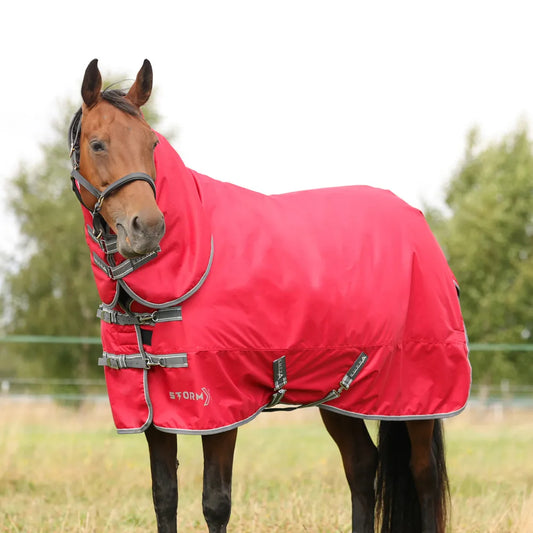 StormX Empra 300 Combi Turnout Rug PONY SIZES