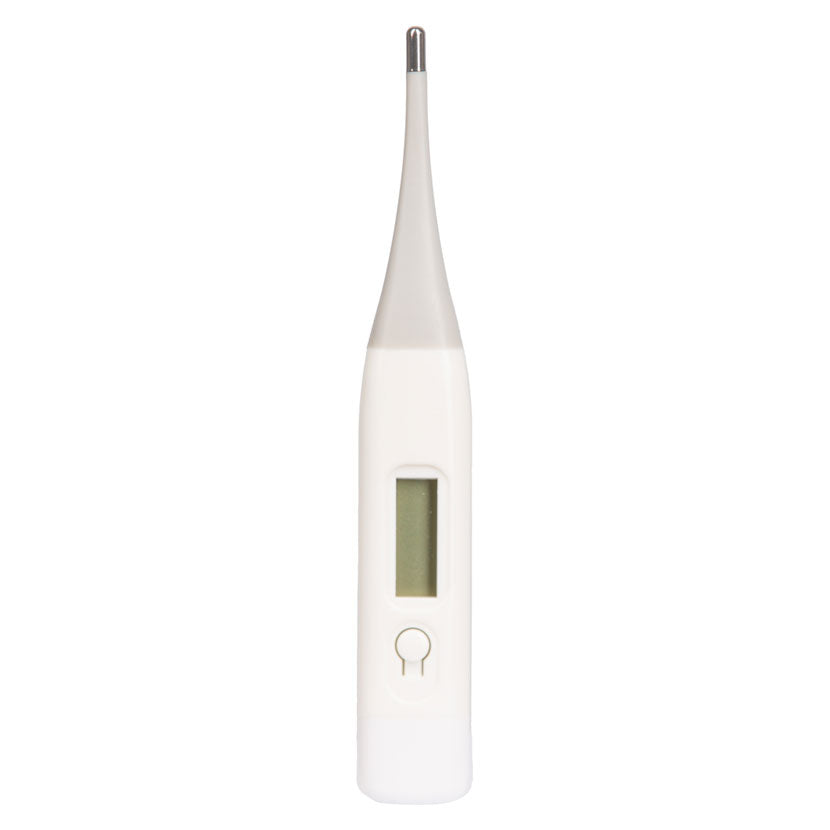 Lincoln Digital Thermometer