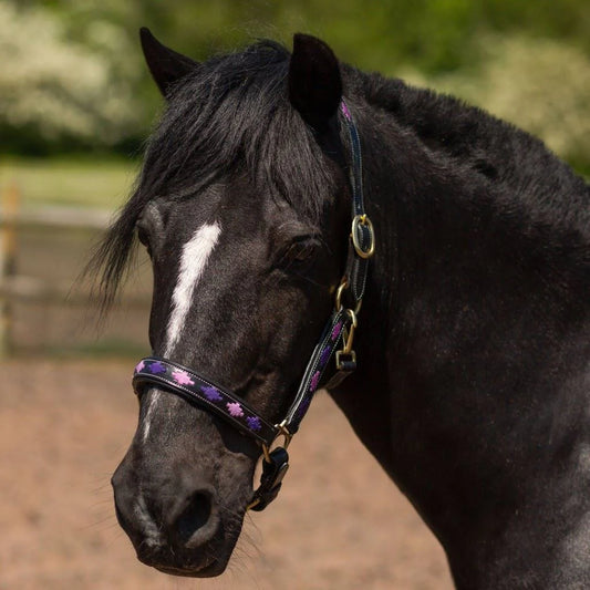 GALLOP EQUESTRIAN DIAMOND PADDED LEATHER HEADCOLLAR