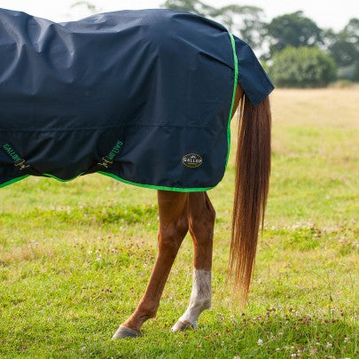 Gallop Trojan lightweight Turnout combo