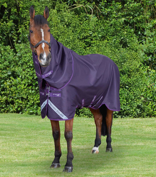 Premier Equine Stratus 600 Series 0g Turnout Rug with Classic Neck Cover Purple