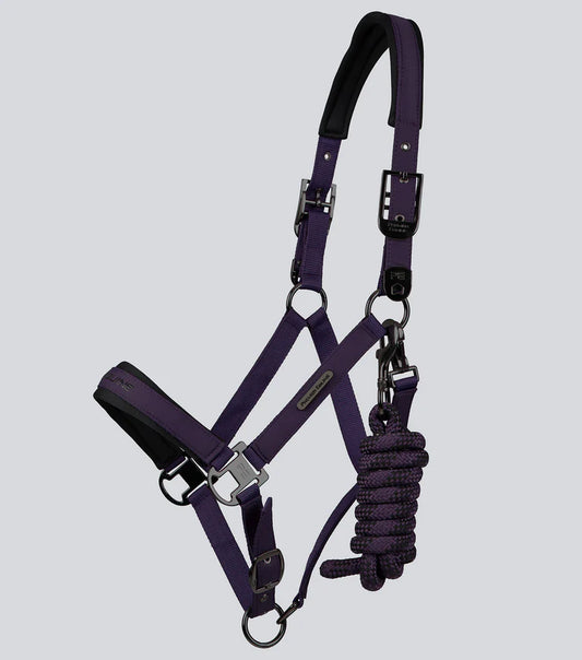 Duco Padded Head Collar with Lead Rope Grape Purple