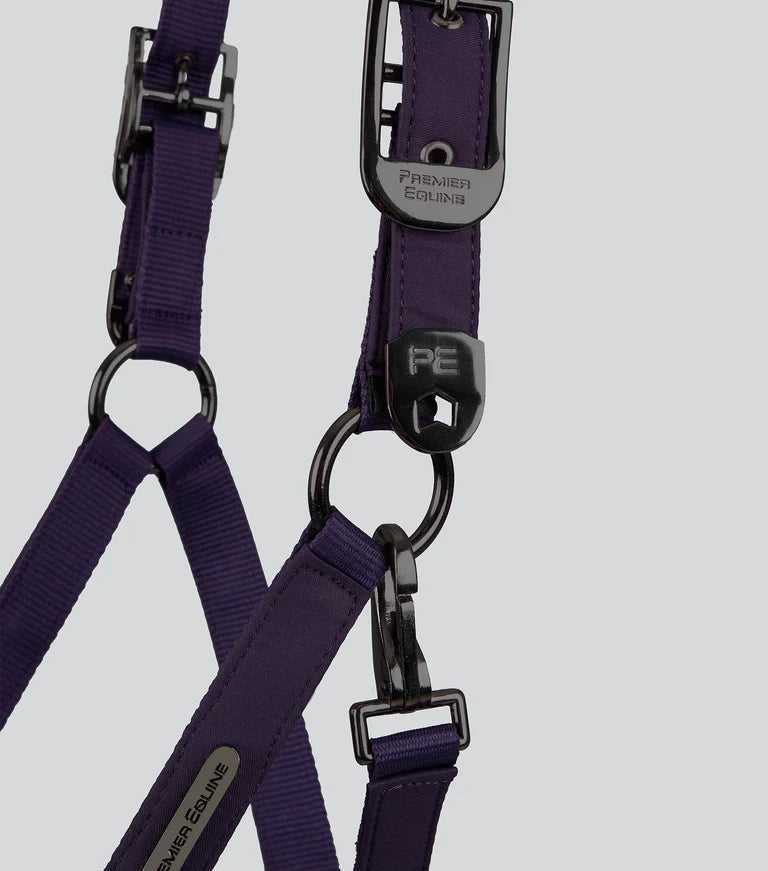 Duco Padded Head Collar with Lead Rope Grape Purple