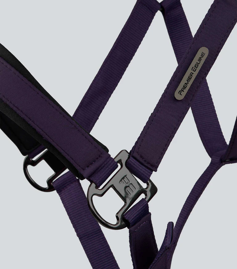 Duco Padded Head Collar with Lead Rope Grape Purple