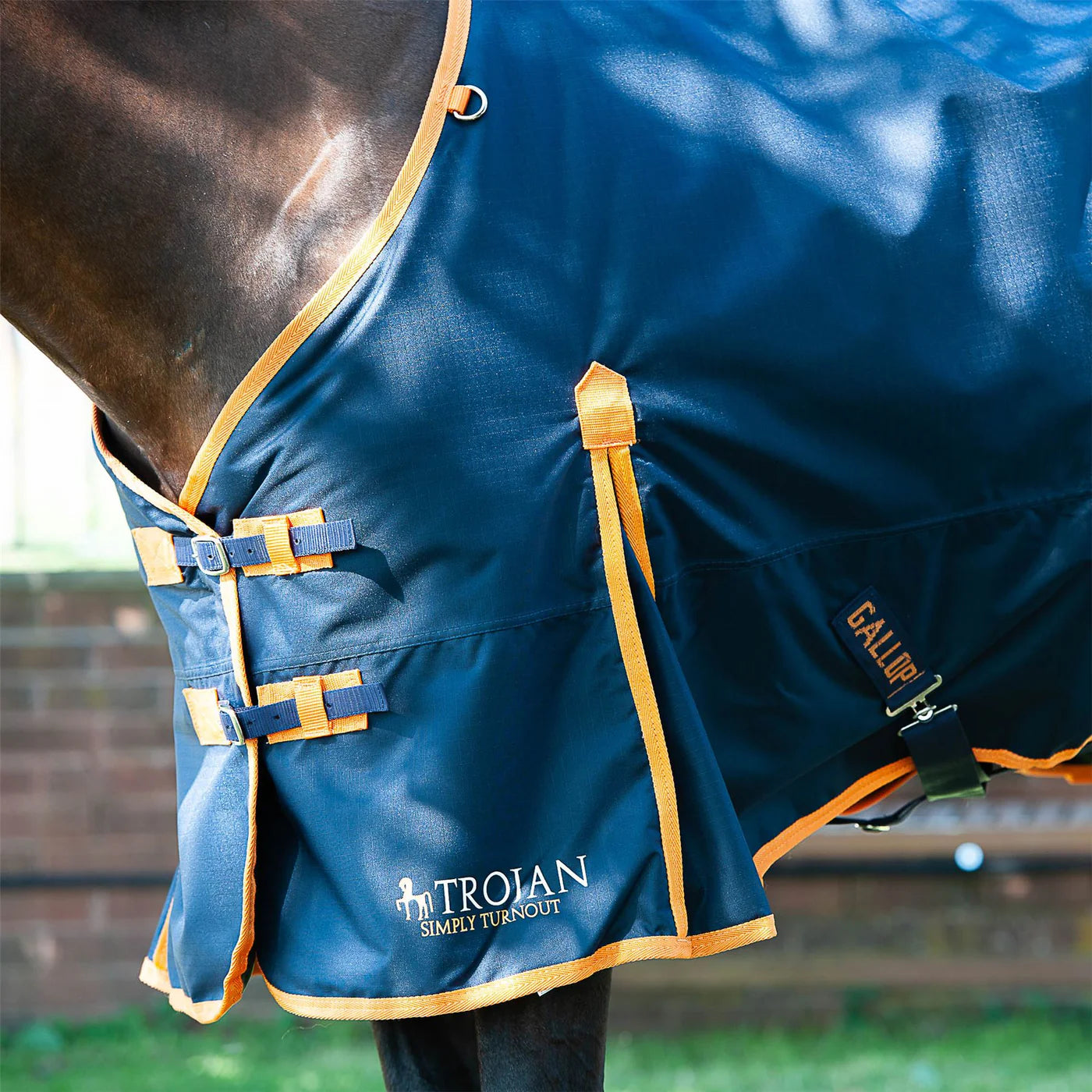 GALLOP EQUESTRIAN TROJAN 100 STANDARD TURNOUT