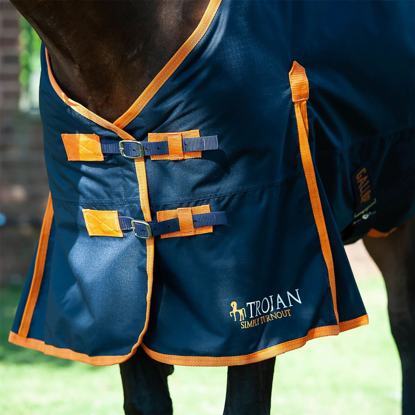GALLOP EQUESTRIAN TROJAN 100 STANDARD TURNOUT