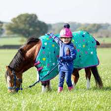 Shires Tikaboo 100g Turnout Rug sunny shetland