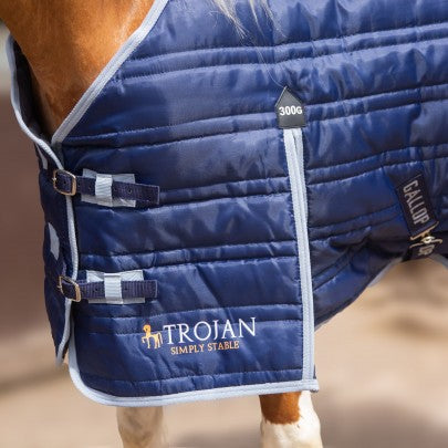 TROJAN 300g Stable Rug