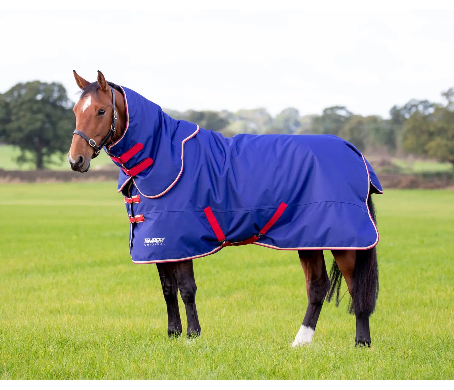 Shires Tempest Original 100 Turnout Rug & Neck Set