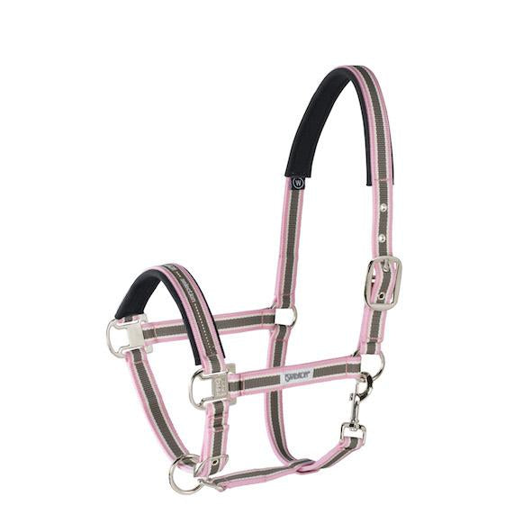 Eskadron Pin Buckle Stripe Headcollar - Pink