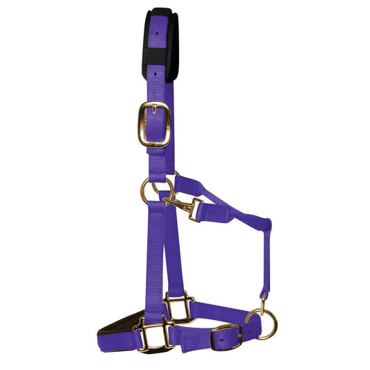 KM Elite Padded Headcollar Purple - MINI Shetland/foals