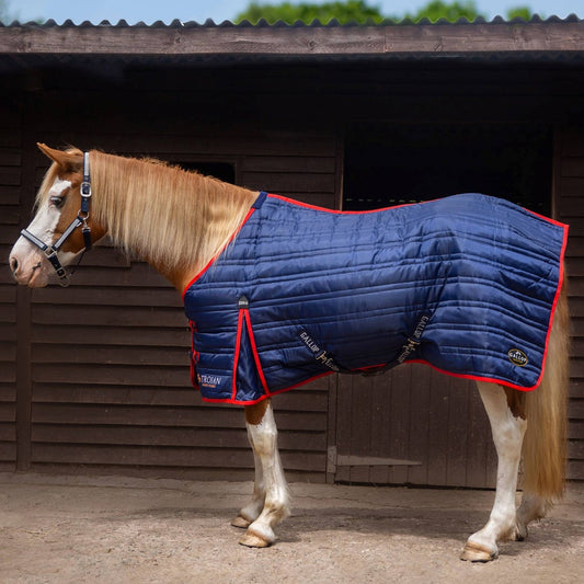 Trojan 200g stable rug