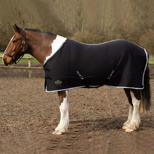 GALLOP BLACK JERSEY COOLER RUG