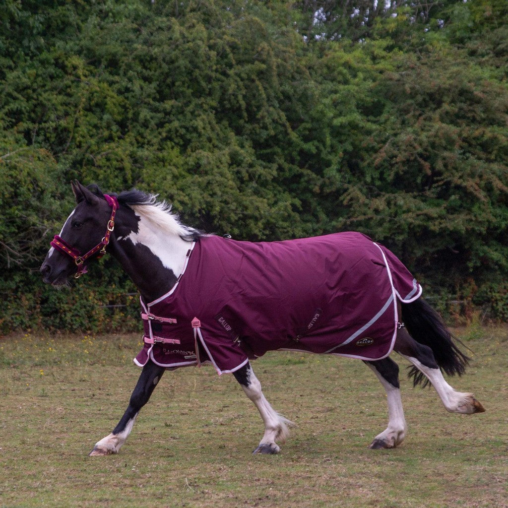 TROJAN XTRA 1200D DURAPROOF 200G 5-POINT STANDARD NECK TURNOUT