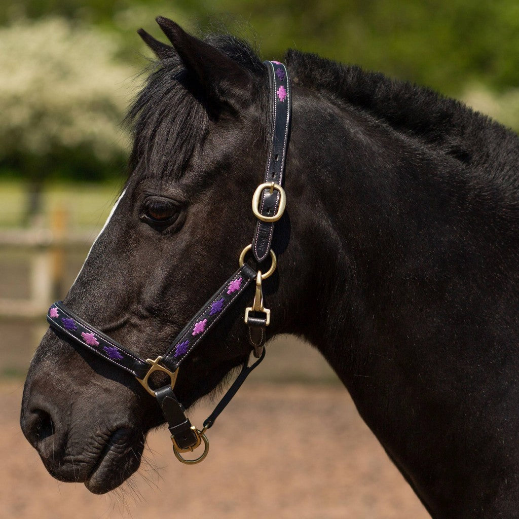 Gallop Leather Headcollar Purple Diamond