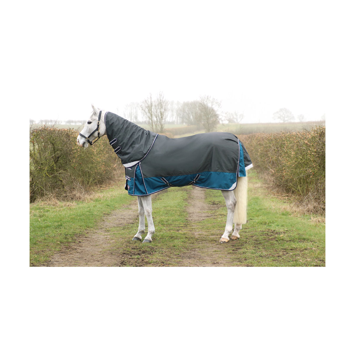 DefenceX 50g Turnout Rug